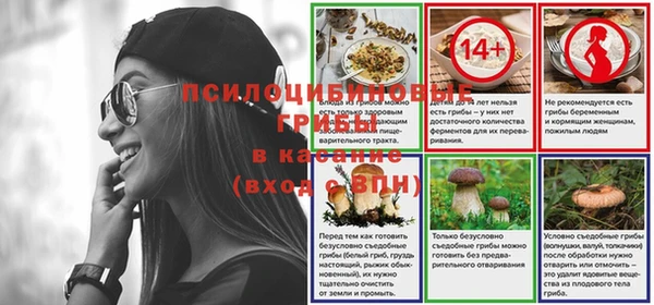 герыч Арсеньев
