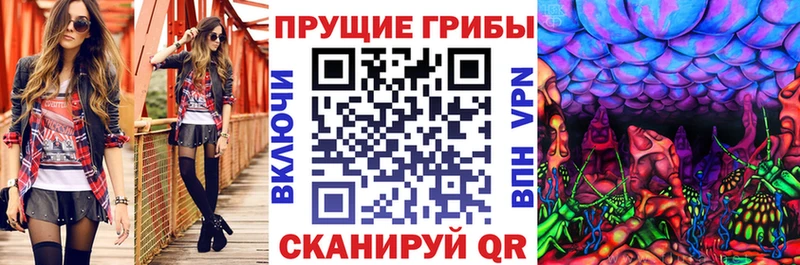 кракен зеркало Урюпинск Псилоцибиновые грибы Magic Shrooms купить наркоту